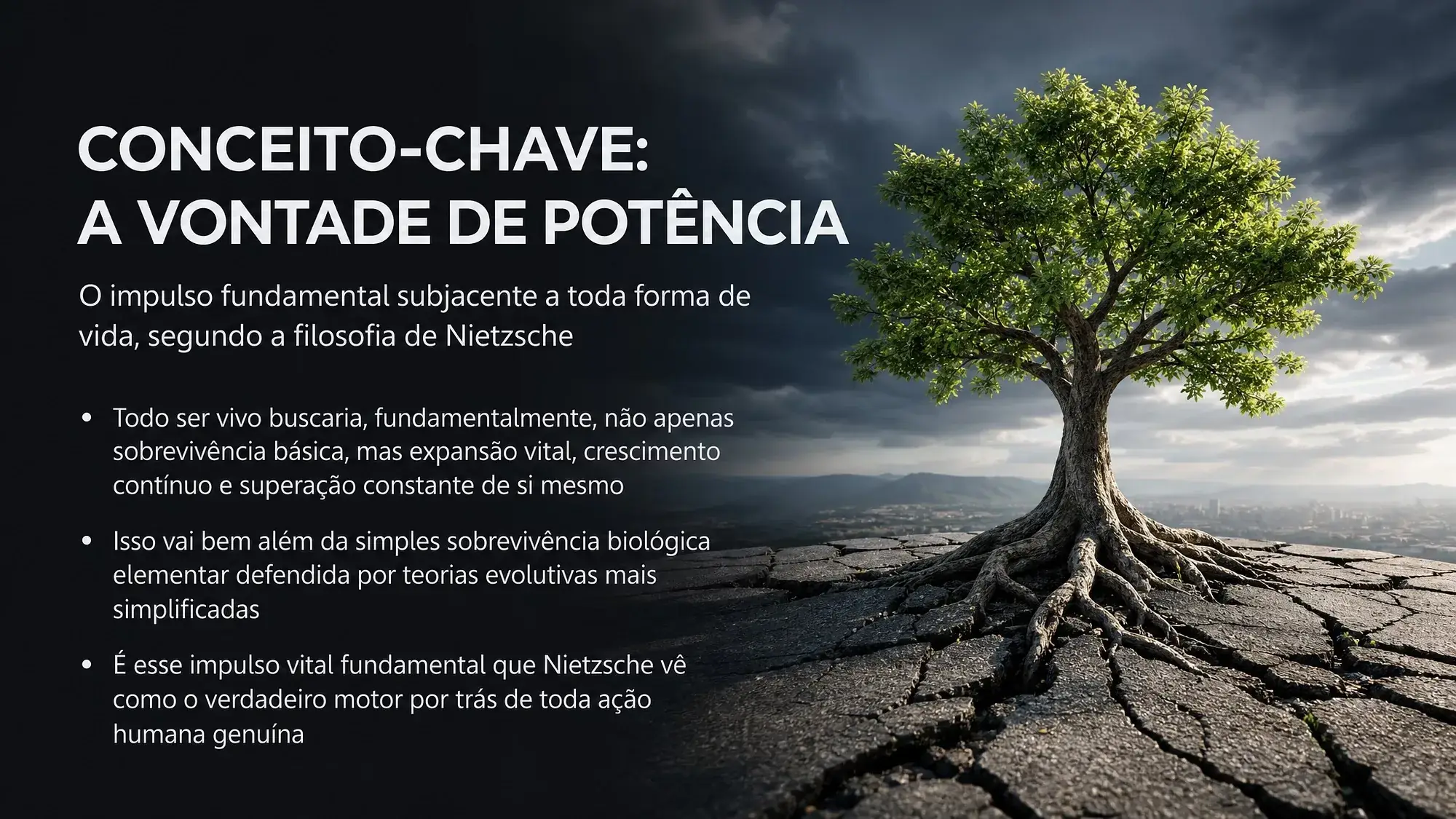 Slide 8